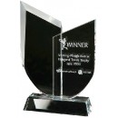 Twin Reflections Crystal Trophy
